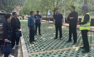 市能力作風建設年第五巡回指導組到市文旅集團盧氏雙龍灣景區實地調研